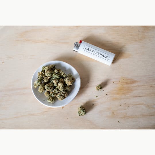 Last Strain - Magic Melon - 1