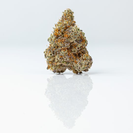 Resonant Cultivation - Mint Chocolate Chip - 1