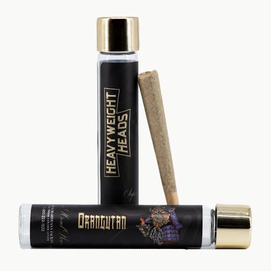 Heavyweight Heads - Orangutan 1g Pre-Roll - 1
