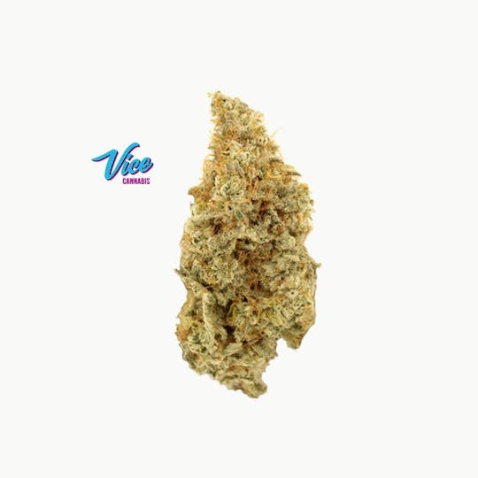 Vice Cannabis - MAC 69 (MAC6 x MAC9): Flower - 1