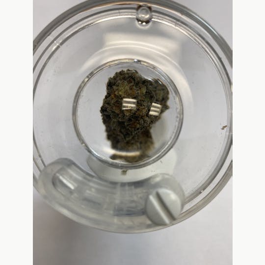 Delightful Hights - Girl Scout Cookies - 1