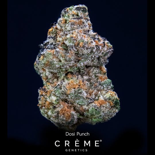 Crème Genetics - Dosi Punch (28% THC Indica) - 1