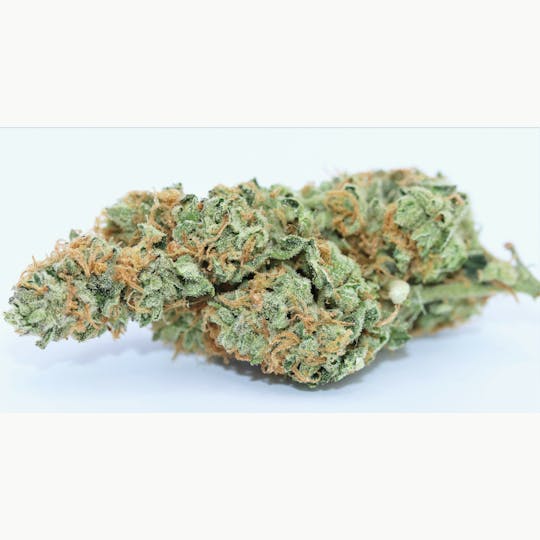 Elevation 207 - Watermelon Zkittles *Special* - 1