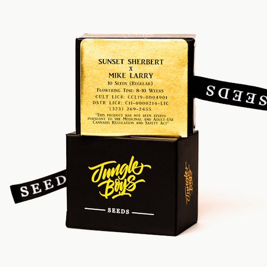 Jungle Boys - Jungle Boys | Sunset Sherbert x Mike Larry - 10ct Seeds - 1