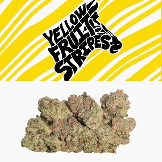 Cookies Michigan - Yellow Fruit Stripes - 1