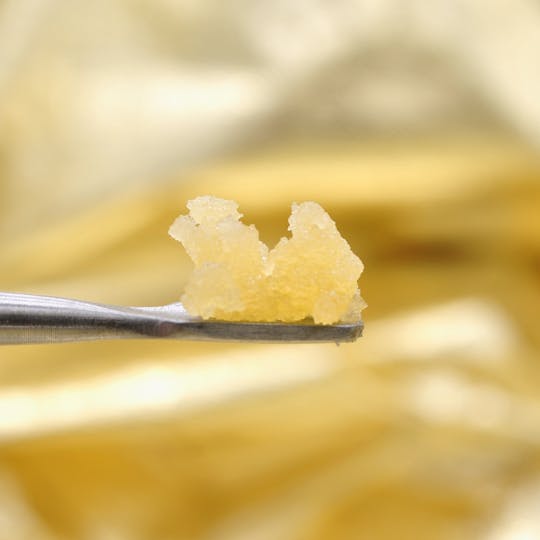 The Craft - Antoinette - Sugar - 1g - 1