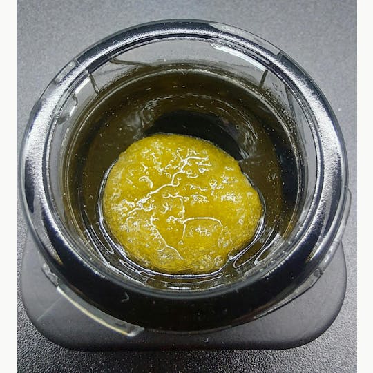 Ripple Wellness - Concentrate - Cured Badder - Cotton Candy Cookies #12 - 1