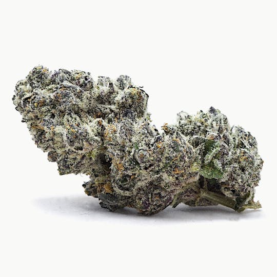 High Tide Organics - Biscotti | Indoor - 1