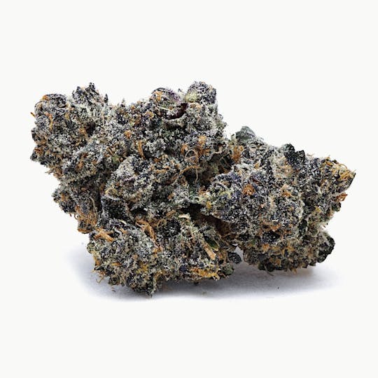 High Tide Organics - Blue Sherbert | Indoor - 1