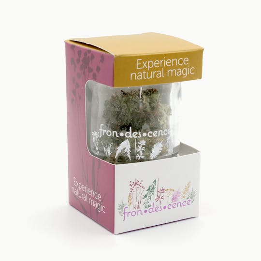 Frondescence - Frondescence - Melonade 3.5g Pre-Pack - 1