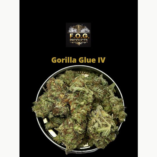 FOG Products - Gorilla Glue IV Smaller Buds (Indoor) - 1