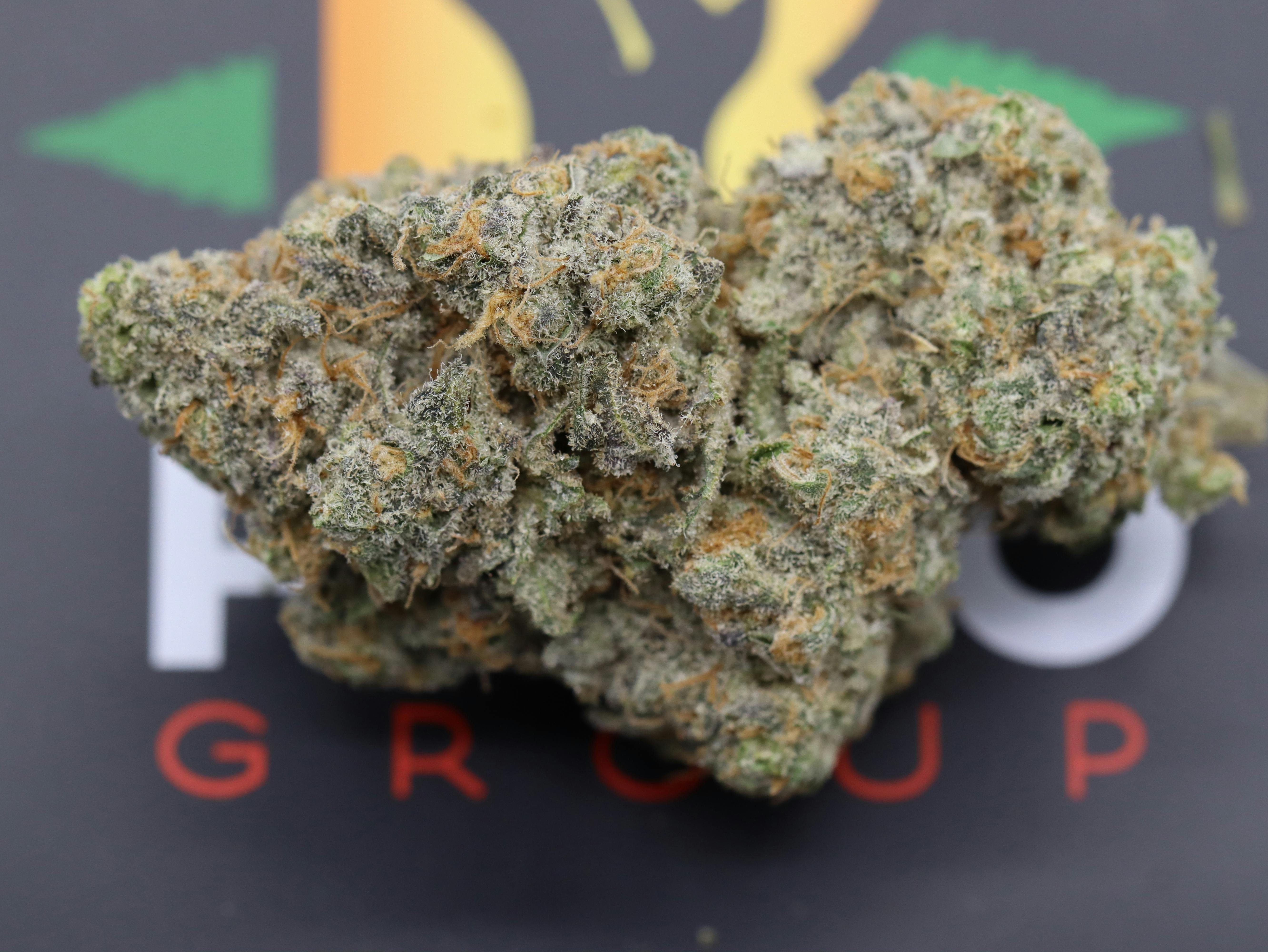 Revo Group - Grease Monkey - 1