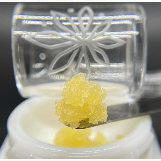 Sooner Glue - Dieselberry Cough - 1