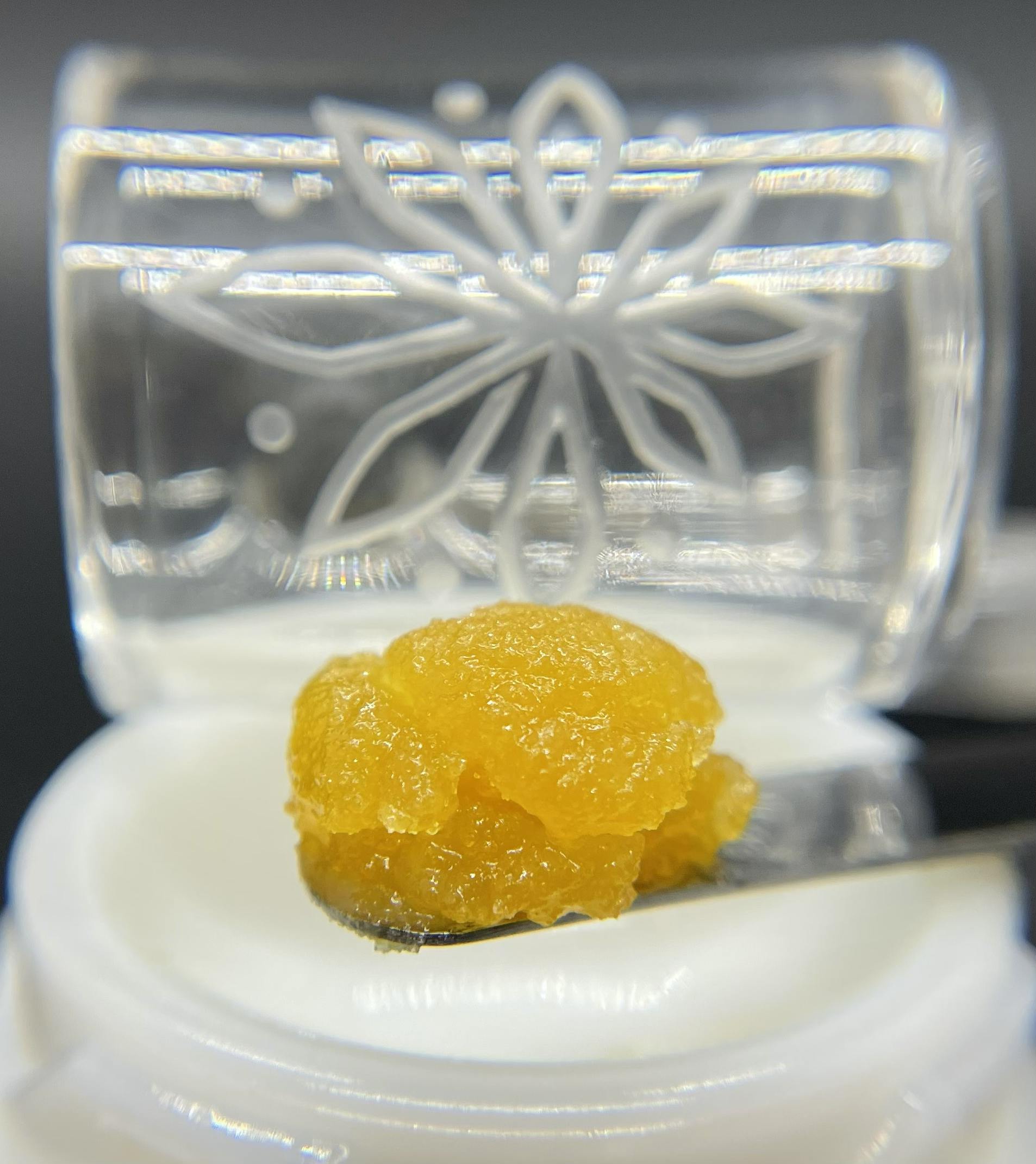 Sooner Glue - Sweet Island Skunk - 1