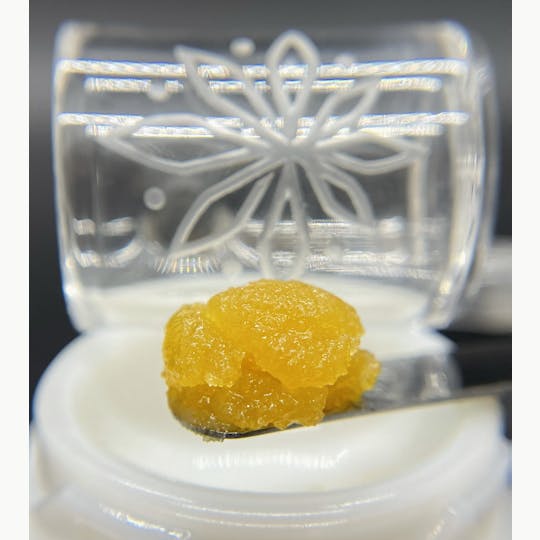 Sooner Glue - Sweet Island Skunk - 1