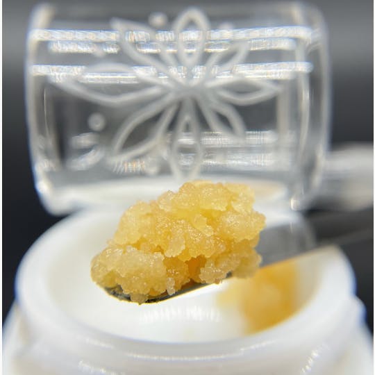 Sooner Glue - White Rhino - 1