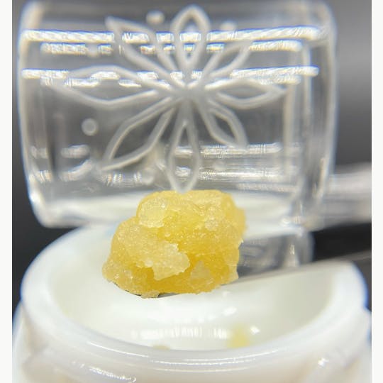 Sooner Glue - Gorilla Milk - 1