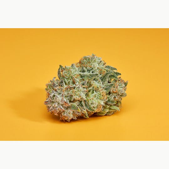 Houseplant Canada - HP Sativa - Chemdog - 1