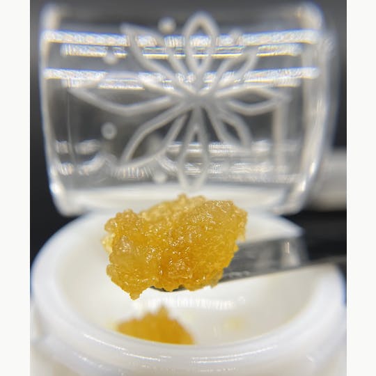 Sooner Glue - Bruce Banner - 1