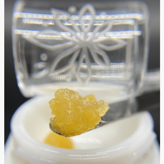 Sooner Glue - Double Tangie Banana - 1