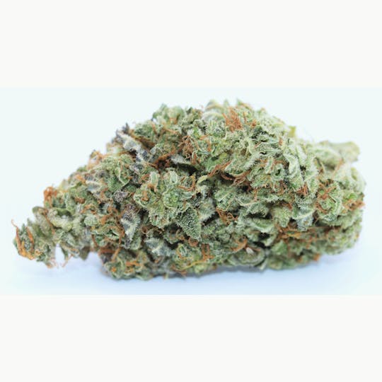 Elevation 207 - LA Confidential - 1