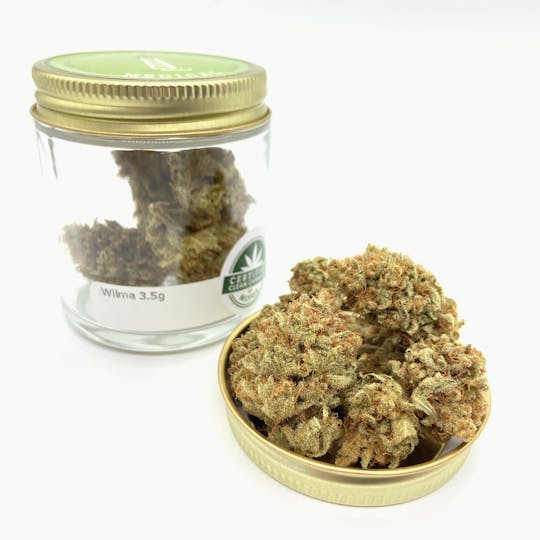 Mainely Medical - Wilma MOFGA - 1