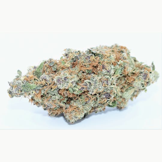 Elevation 207 - Purple Mandarine - 1