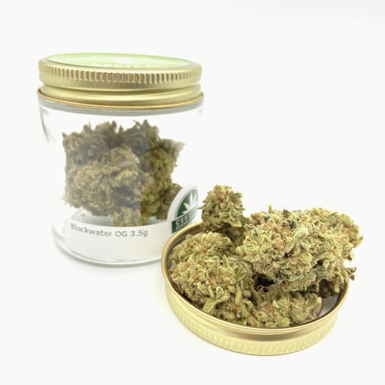 Mainely Medical - Blackwater OG MOFGA - 1