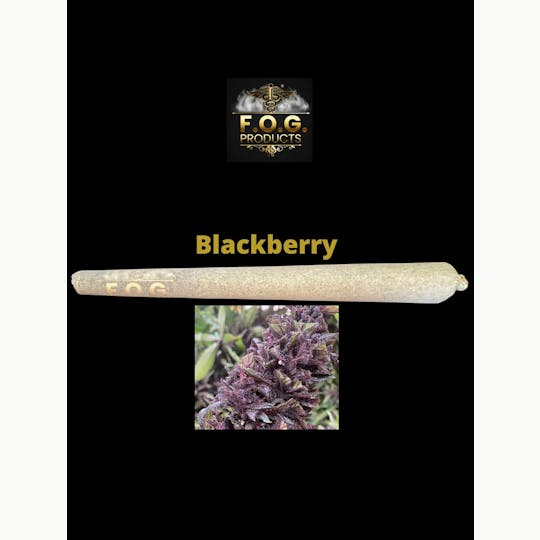 FOG Products - Blackberry pre roll 1G+ (Hybrid) - 1