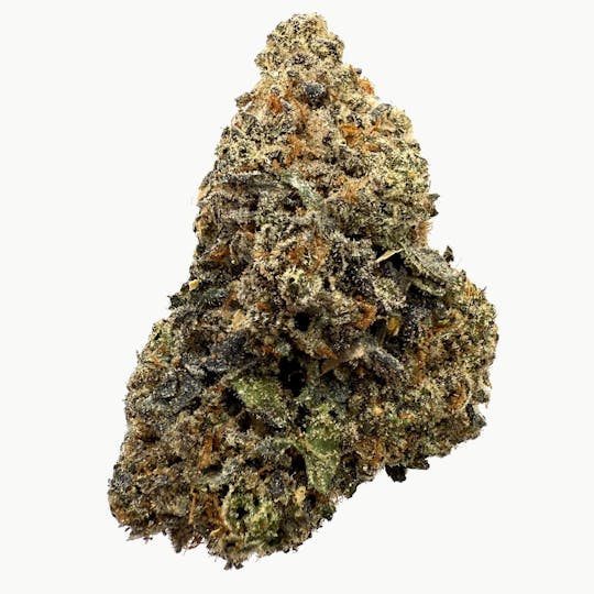 Northeast Alliance - Ice Cream Cake ($65 Half/$120 OZ) - 1