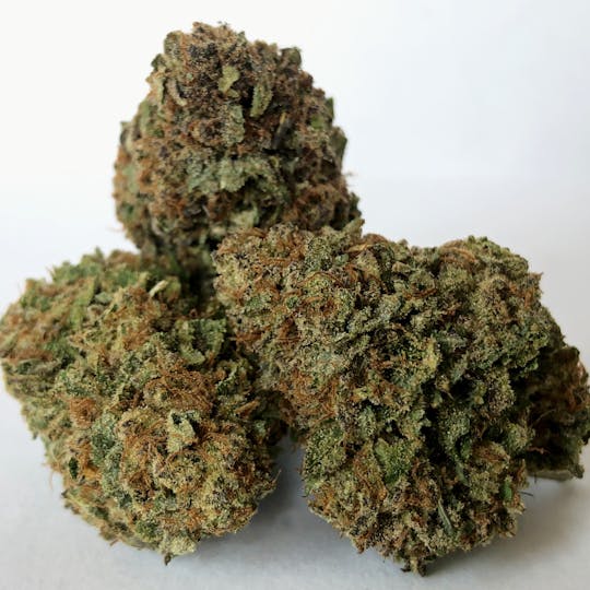 Daedalus Craft Cannabis - Mimosa - Daedalus Craft Small Batch Indoor - 1