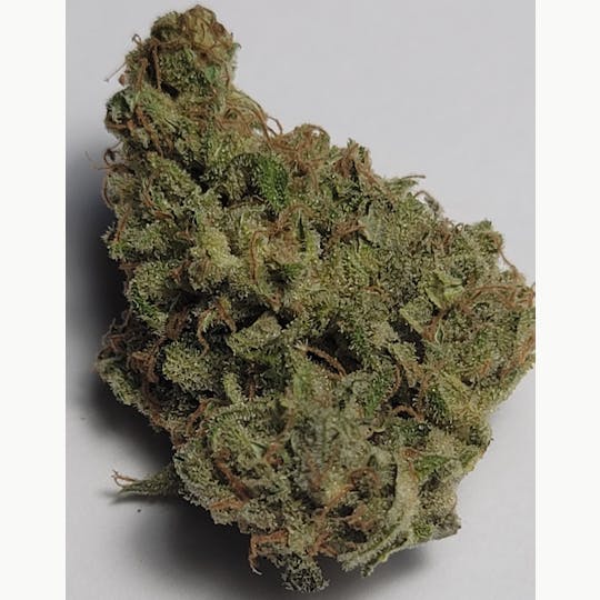 Daedalus Craft Cannabis - Applehead - Daedalus Craft Small Batch Indoor - 1