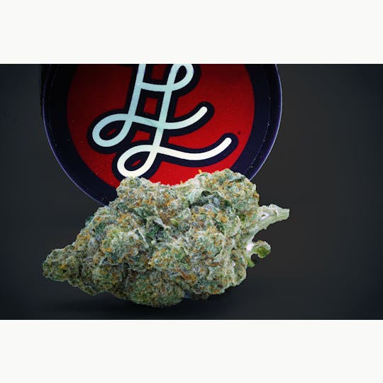 Lucky Lou's - Chocolate Gelatti - 1