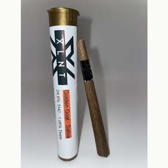 Kims Connections - Golden Goat - 1
