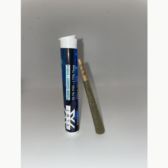 Kims Connections - Purple Queen Preroll - 1