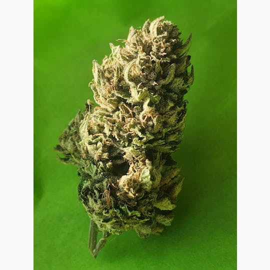 Daedalus Craft Cannabis - Chemdog Special #4 - 1