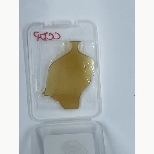 Robinsons of Maine LLC - Shatter - Cult Classics/Dutch Passion Blend - 1