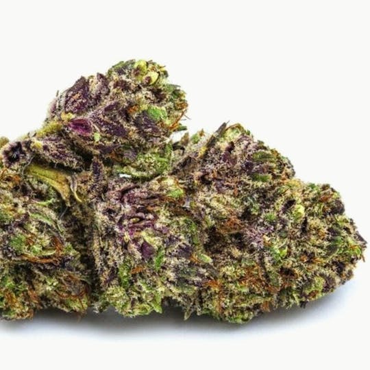 Vice Cannabis - Purple Lambo (Purple Urkel & Triple OG): Flower - 1