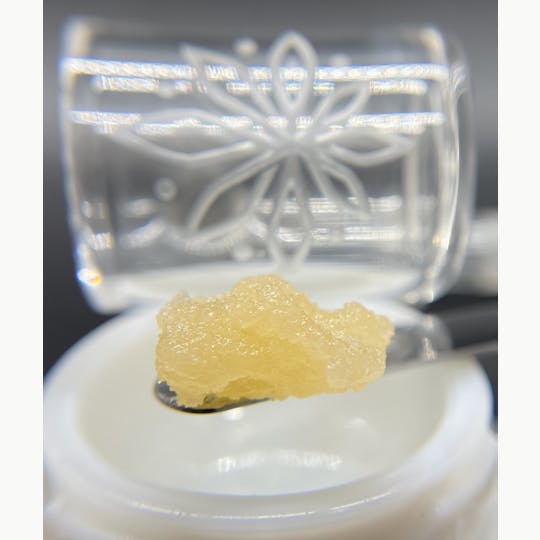 Sooner Glue - Rainbow Chip - 1