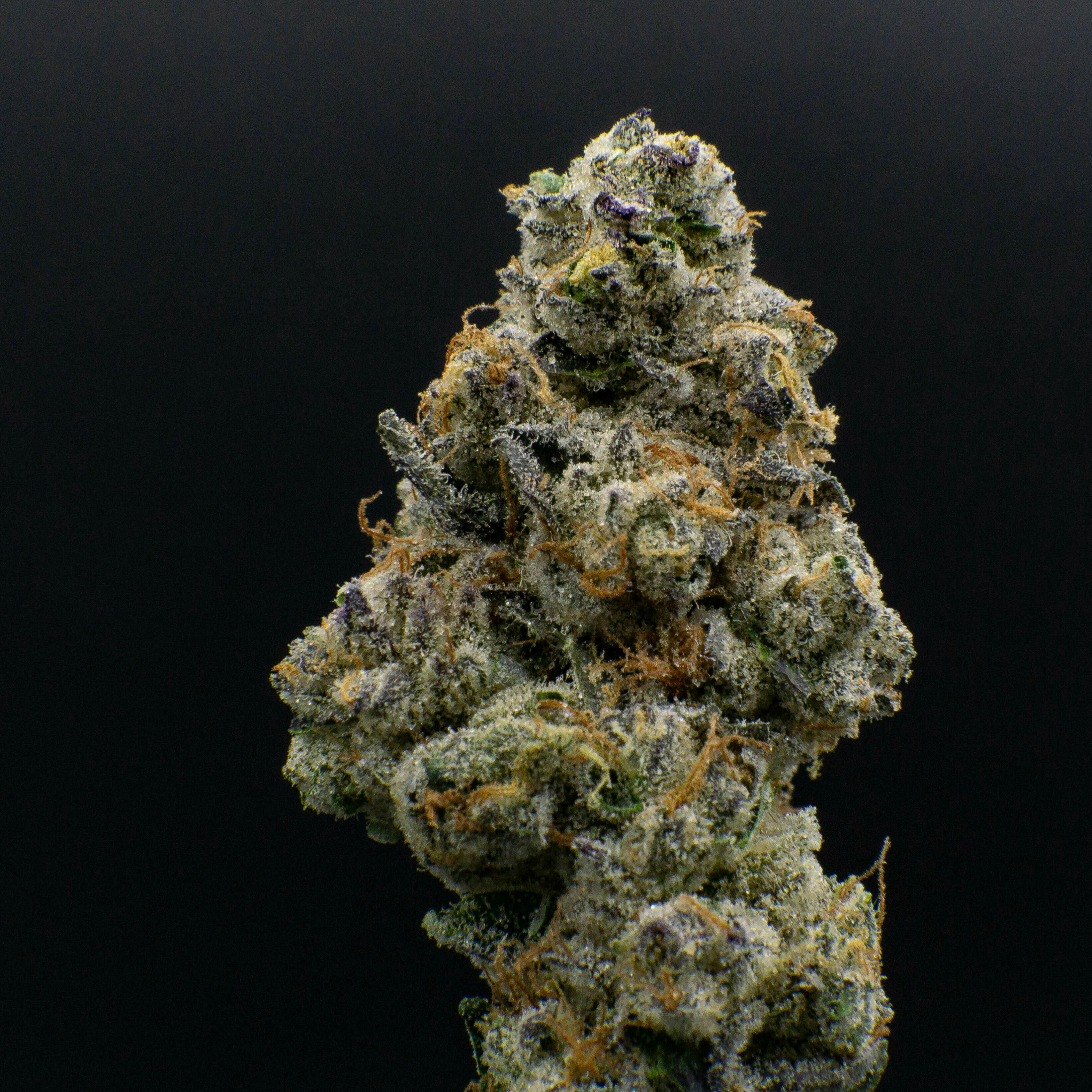 JAR Cannabis Co. - Wedding Pie by JAR Cannabis Co. - 1