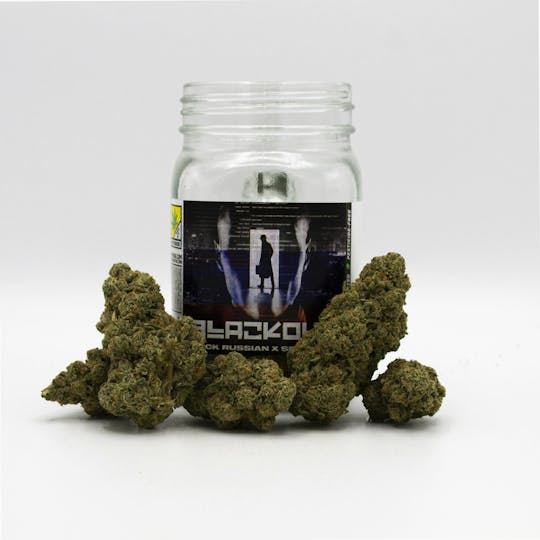 Phat Panda - Black Out - WA - 1