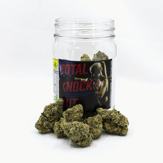 Phat Panda - Total Knockout - WA - 1