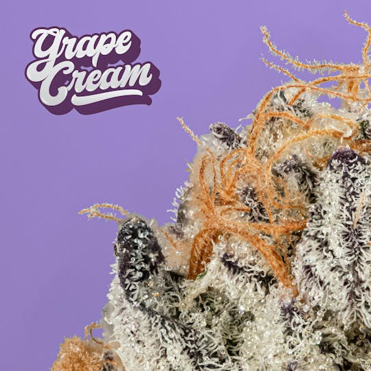 Hazy Hill Farm - Grape Cream - 1