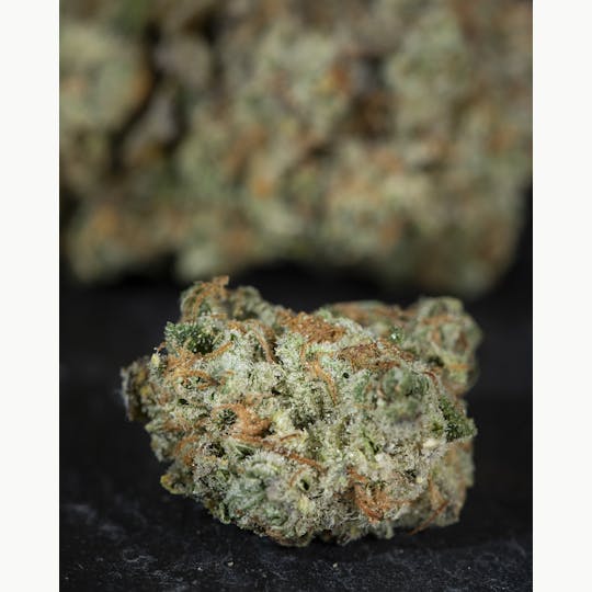 Tops Farm - Jeeves 7 grams - 1