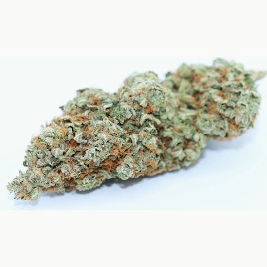 Elevation 207 - Cherry Bomb X - 1