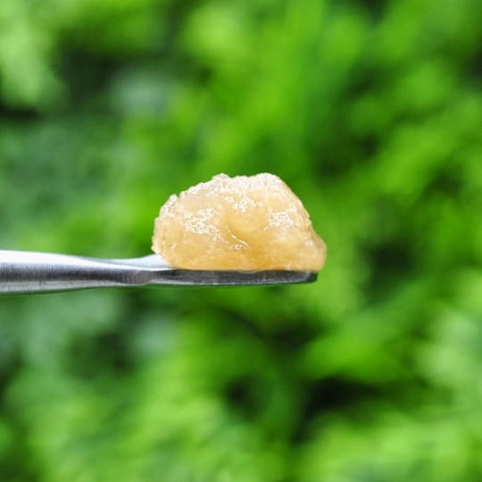 Envy - Pure Power Plant - Sugar Wax - 1g - 1