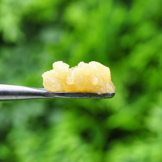 Envy - Purple Agent - Sugar Wax - 1g - 1