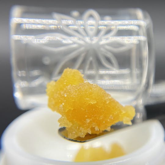 Sooner Glue - Clementine - 1