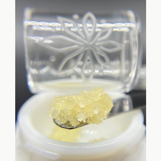 Sooner Glue - Alien Fruit - 1