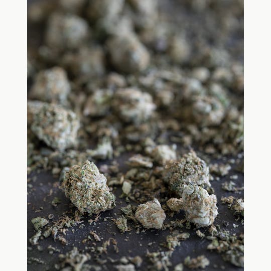 Tops Farm - Wedding Cake Small Bud Shake 14 grams - 1